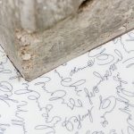 Lelli architectes